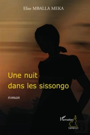 Nuit Dans Les Sissongo