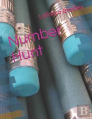 Number Hunt