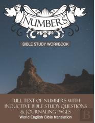 Numbers Inductive Bible Study Workbook