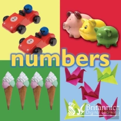 Bertrand.pt - Numbers