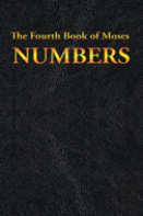 Numbers