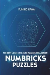 Numbricks Puzzles