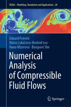 Bertrand.pt - Numerical Analysis Of Compressible Fluid Flows