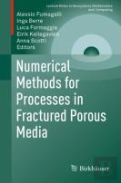 Numerical Methods For Processes In Fractured Porous Media