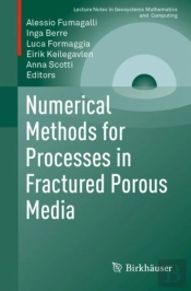 Numerical Methods For Processes In Fractured Porous Media