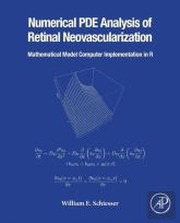 Numerical Pde Analysis Of Retinal Neovascularization