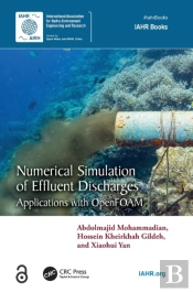 Numerical Simulation Of Effluent Discharges