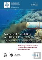 Numerical Simulation Of Effluent Discharges
