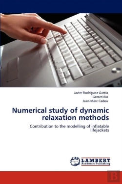 Bertrand.pt - Numerical Study Of Dynamic Relaxation Methods