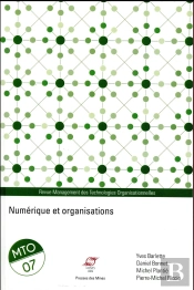 Numerique Et Organisations