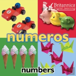 Bertrand.pt - Numeros (Numbers)