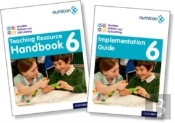 Numicon: Geometry, Measurement And Statistics 6 Teaching Pack