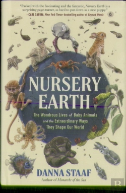 Bertrand.pt - Nursery Earth