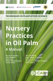 Nursery Practices In Oil Palm