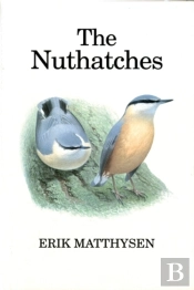 Nuthatches