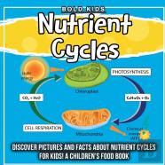 Nutrient Cycles