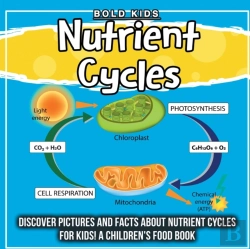 Bertrand.pt - Nutrient Cycles