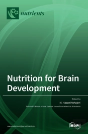 Nutrition For Brain Development