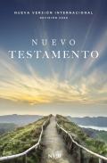 Nvi, Nuevo Testamento, Revision 2022, Tapa Rustica, Paisaje