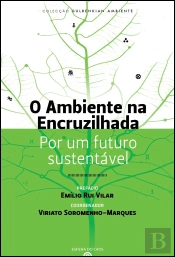 O Ambiente na Encruzilhada