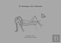 O Avesso do Visível 