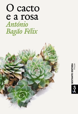 Bertrand.pt - O cacto e a rosa