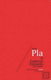 O Caderno Cinzento