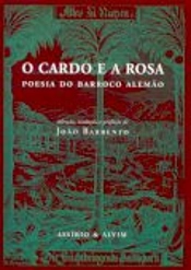O Cardo e a Rosa