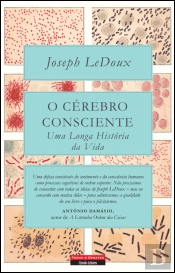 O Cérebro Consciente