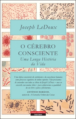 O Cérebro Consciente