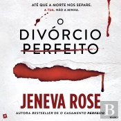 O Divórcio Perfeito - Vol 1