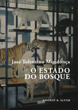 Bertrand.pt - O Estado do Bosque