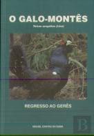 O Galo-Montês