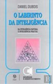 O Labirinto da Inteligência