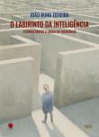 O Labirinto da Inteligência