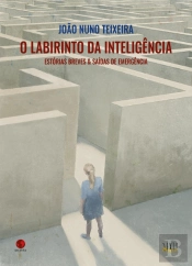 O Labirinto da Inteligência
