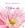 O Livro do Reiki