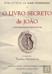 O Livro Secreto de João I