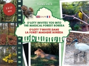 O Loty T Invite Dans La Foret Magique Boreea