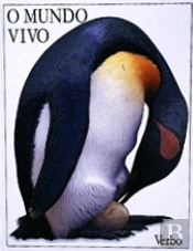 O Mundo Vivo