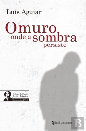 O Muro Onde a Sombra Persiste