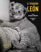 O Pequeno Leon