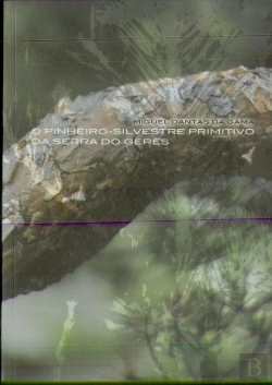 Bertrand.pt - O Pinheiro-Silvestre Primitivo da Serra do Gerês