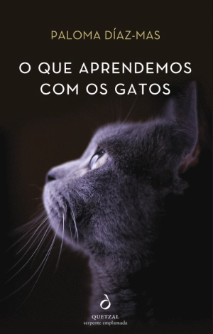 O Que Aprendemos com os Gatos