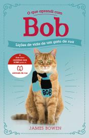 O que aprendi com Bob