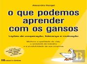 O Que Podemos Aprender Com os Gansos