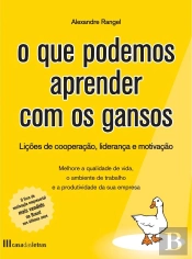 O Que Podemos Aprender Com os Gansos