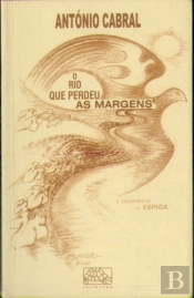 O Rio Que Perdeu as Margens
