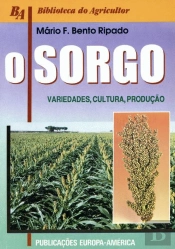 O Sorgo