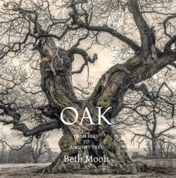 Bertrand.pt - Oak